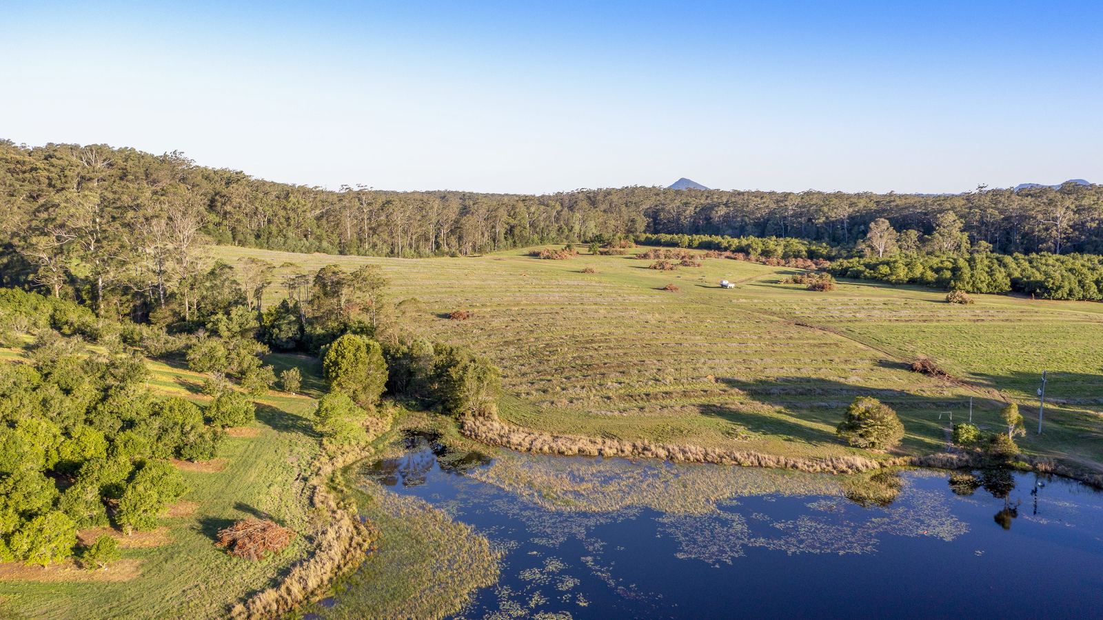 Aerial view over open pasture toward a distant mountain