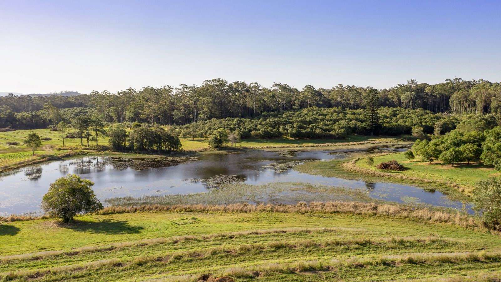 Aerial view of a grassed rise above a lake with bushland behind