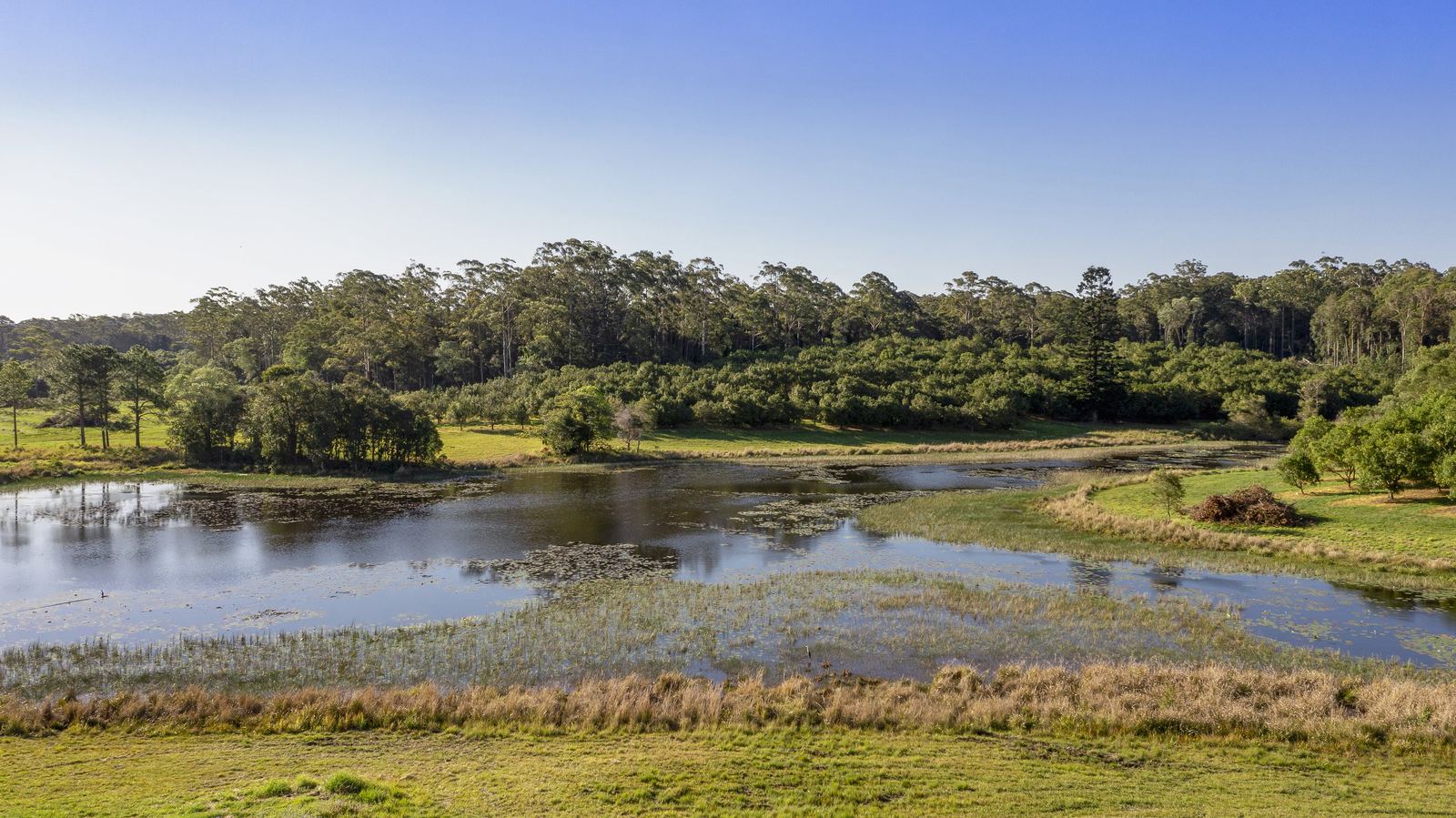 Aerial view of the lake and surrounding forest at La Boscosa Estate
