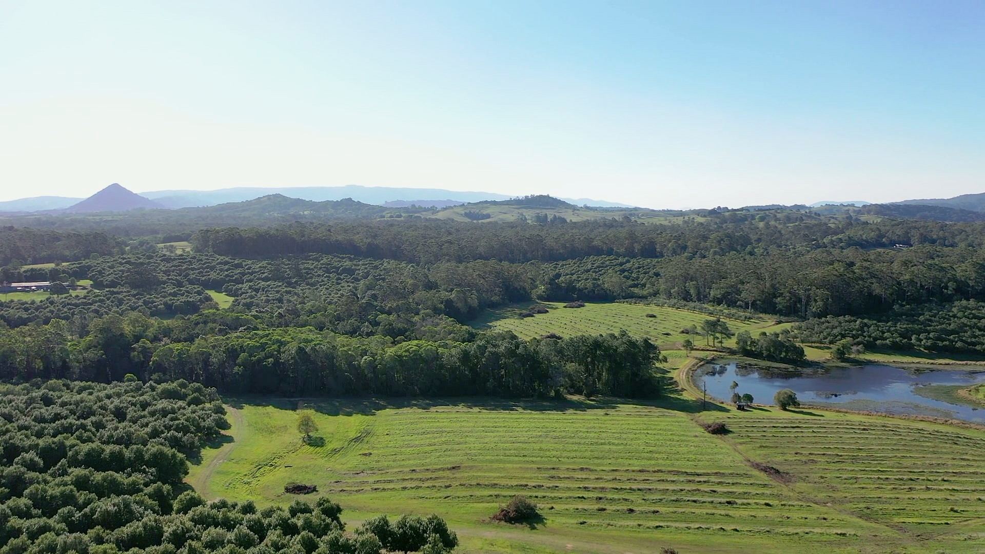 La Boscosa Estate from the air with the Noosa Hinterland peaks on the horizon