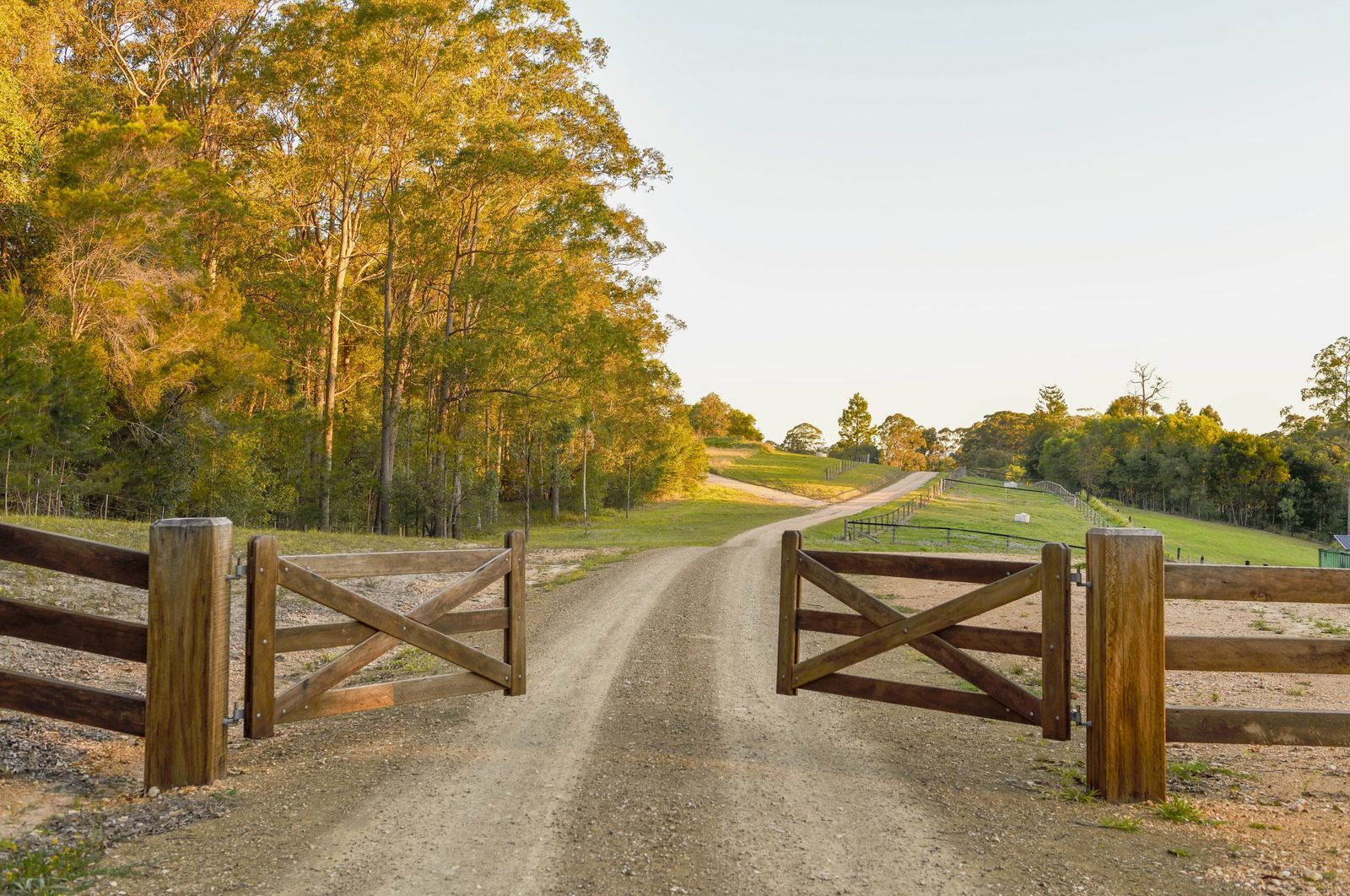 Timber farm gates open across the gravel drive at La Boscosa Estate, Noosa Hinterland, at golden hour