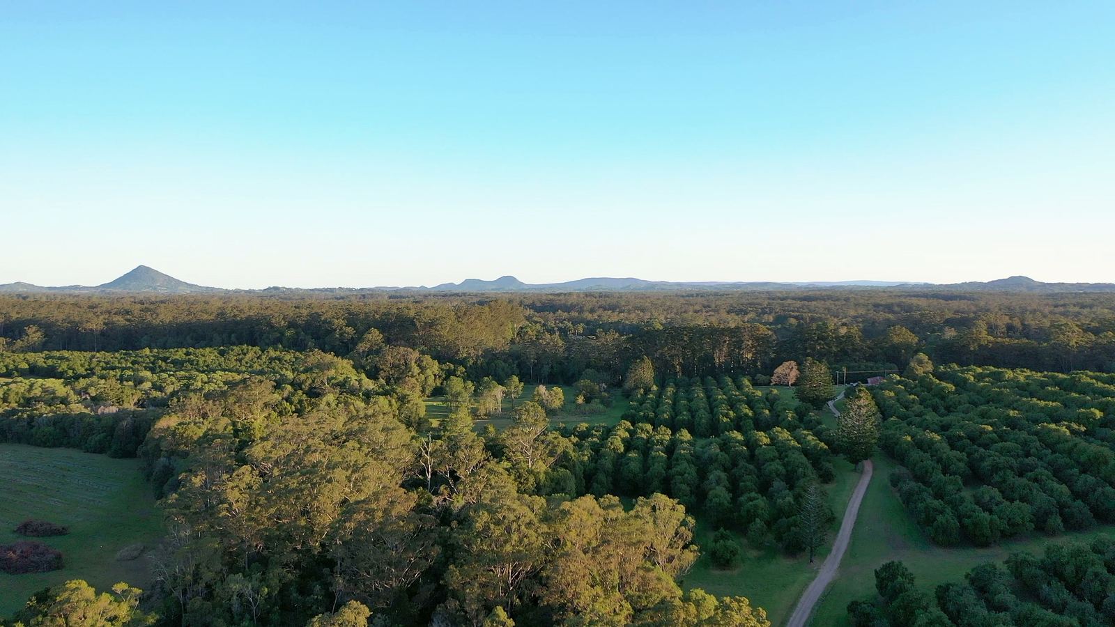 Aerial view south across farmland to distant hinterland peaks