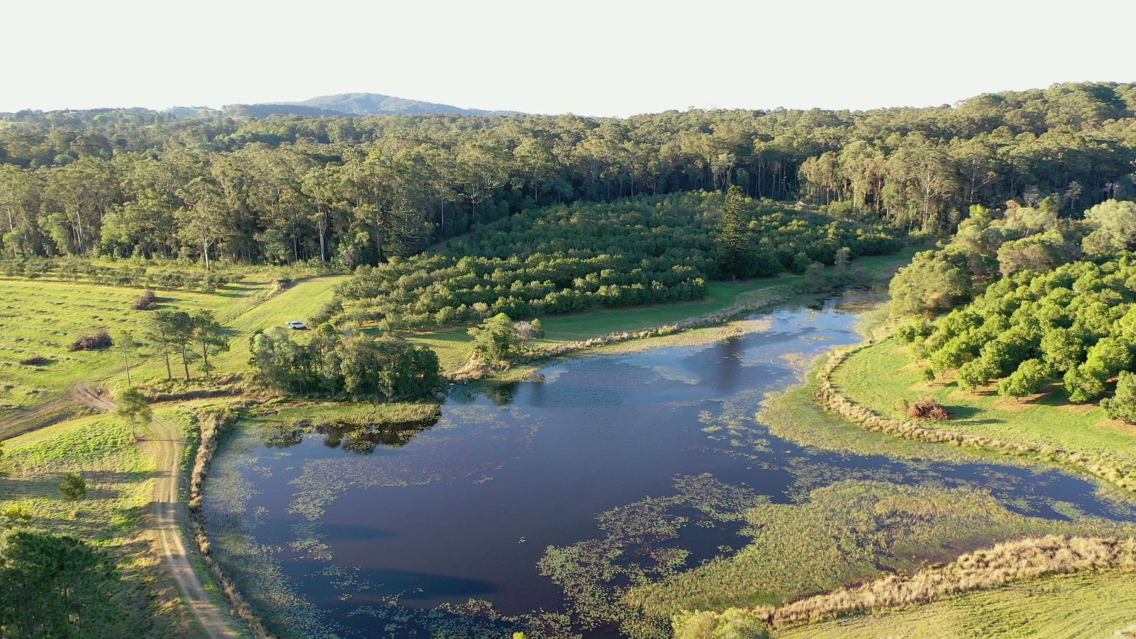 Aerial view of the spring-fed lake and macadamia orchard at La Boscosa Estate