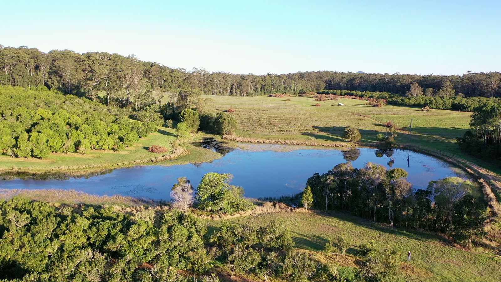 The lake and macadamia orchard viewed from the paddock at La Boscosa Estate