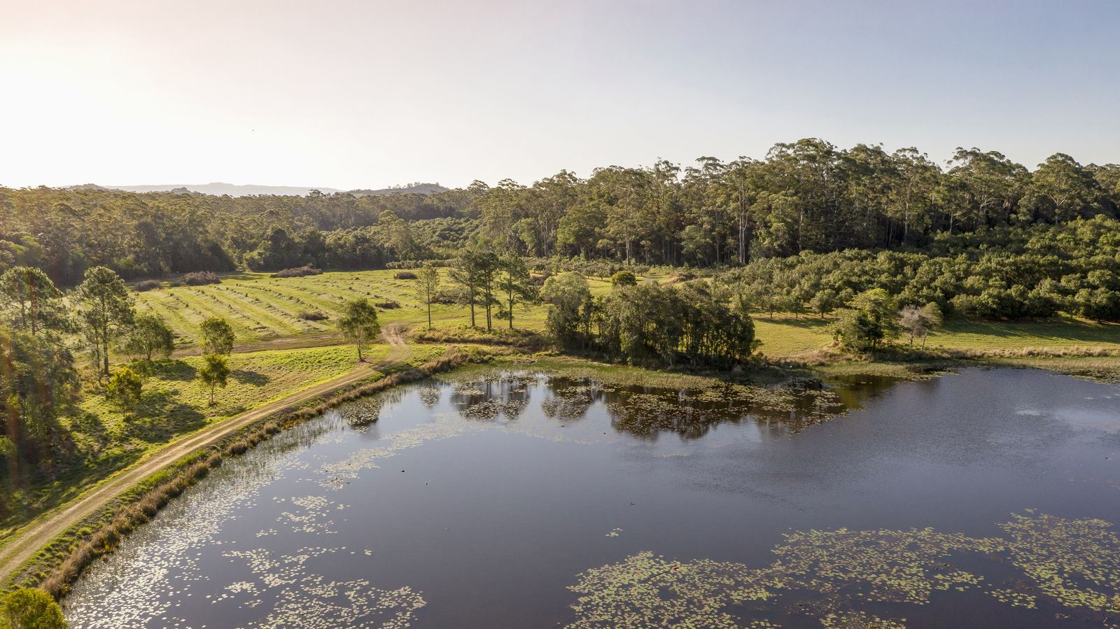 Aerial view west across open pasture and a lake in late light